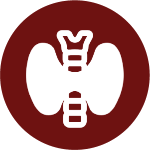 1744781536_Icon 13.png